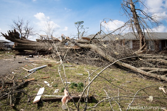 trees-down-homes-smashed329A0270